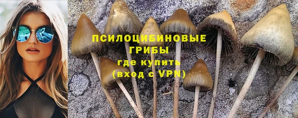 дурь Порхов