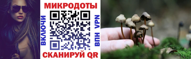 Галлюциногенные грибы ЛСД  блэк спрут зеркало  Могоча 