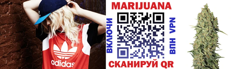 где купить наркоту  ссылка на мегу как зайти  Марихуана OG Kush  Могоча 